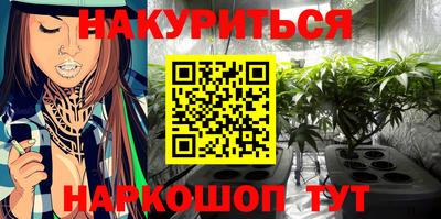 дурь Будённовск