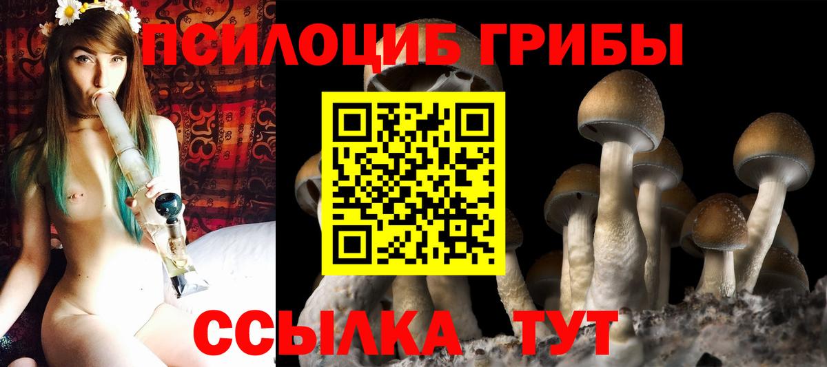 Псилоцибиновые грибы GOLDEN TEACHER  Псилоцибиновые грибы GOLDEN TEACHER  Вход с VPN  Комсомольск-на-Амуре 
